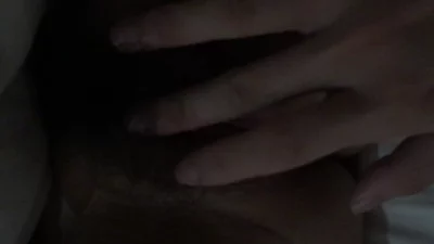 鹤田舞